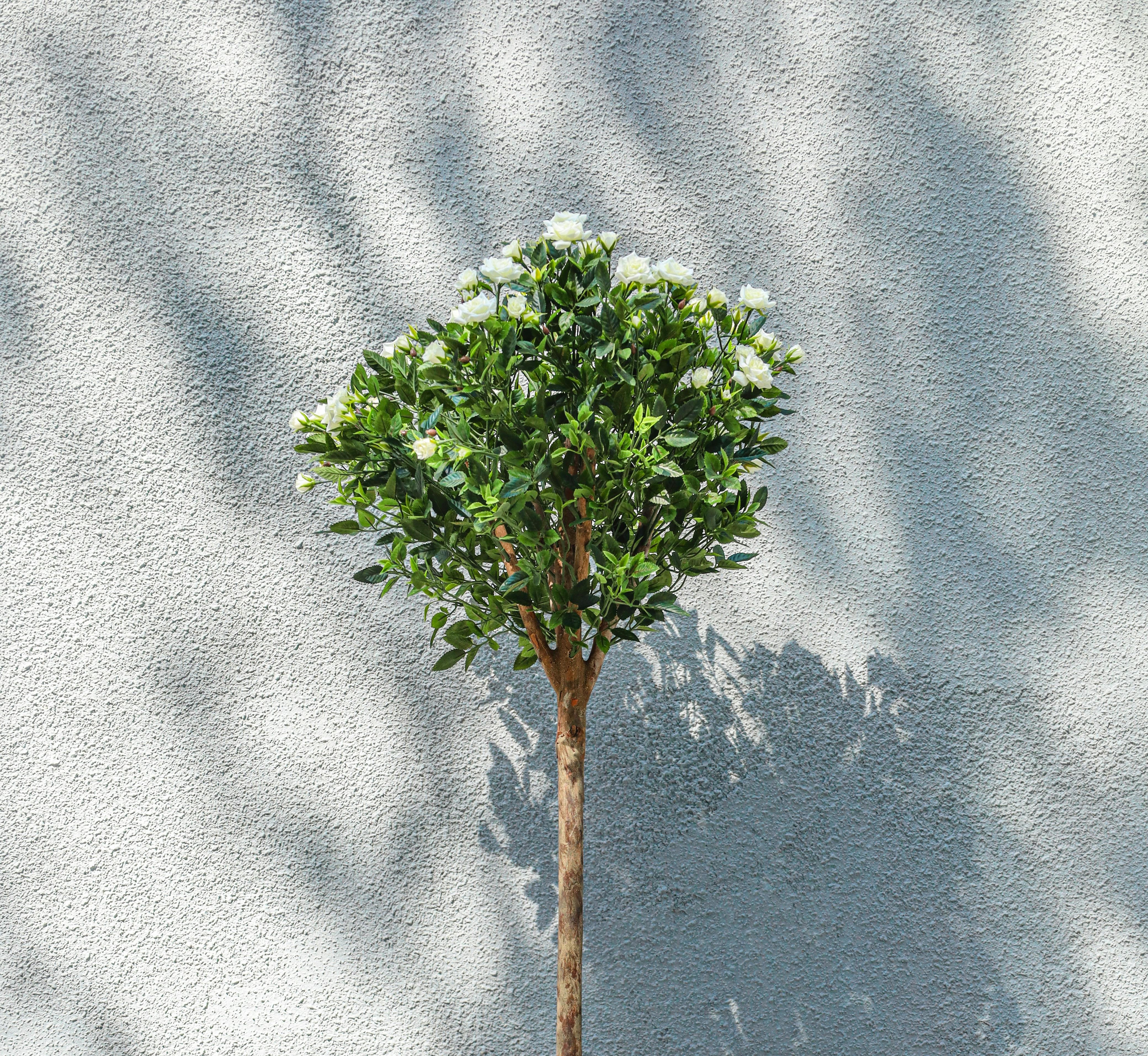 ozdobne